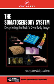 The Somatosensory System: Deciphering the Brain's Own Body Image book cover
