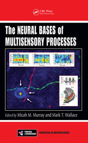 The Neural Bases of Multisensory Processes book cover