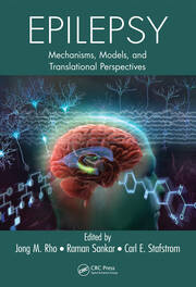 Epilepsy: Mechanisms, Models, and Translational Perspectives book cover