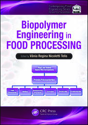 Biopolymer Engineering in Food Processing book cover