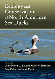 Ecology and Conservation of North American Sea Ducks book cover