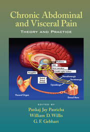 Chronic Abdominal and Visceral Pain: Theory and Practice book cover