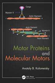 Motor Proteins and Molecular Motors book cover