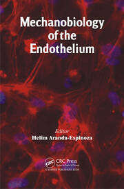 Mechanobiology of the Endothelium book cover