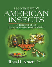 American Insects: A Handbook of the Insects of America North of Mexico, Second Edition book cover