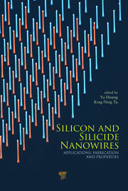 Silicon and Silicide Nanowires: Applications, Fabrication, and Properties book cover