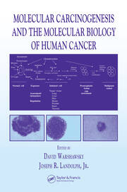 Molecular Carcinogenesis and the Molecular Biology of Human Cancer book cover