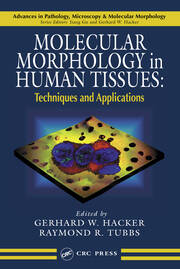 Molecular Morphology in Human Tissues: Techniques and Applications book cover