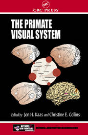 The Primate Visual System book cover