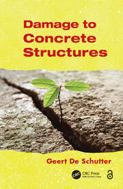 Damage to Concrete Structures book cover