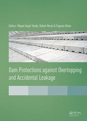 Dam Protections against Overtopping and Accidental Leakage book cover