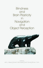 Blindness and Brain Plasticity in Navigation and Object Perception book cover