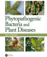 Phytopathogenic Bacteria and Plant Diseases book cover