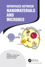 Interfaces Between Nanomaterials and Microbes book cover