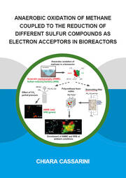 Anaerobic Oxidation of Methane Coupled to the Reduction of Different Sulfur Compounds as Electron Acceptors in Bioreactors book cover