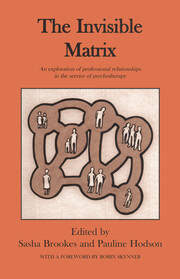 The Invisible Matrix: An Exploration of Professional Relationships in the Service of Psychotherapy book cover