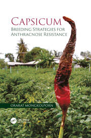 Capsicum: Breeding Strategies for Anthracnose Resistance book cover