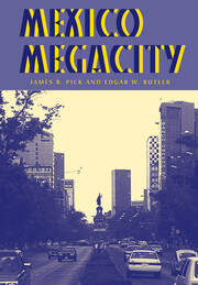 Mexico Megacity book cover