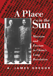 A Place In The Sun: Marxism And Fascimsm In China's Long Revolution book cover