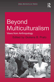 Beyond Multiculturalism: Views from Anthropology book cover