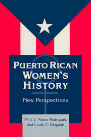 Puerto Rican Women's History: New Perspectives: New Perspectives book cover