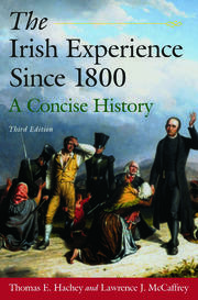The Irish Experience Since 1800: A Concise History: A Concise History book cover