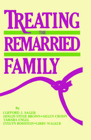 Treating The Remarried Family book cover