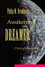 Awakening the Dreamer: Clinical Journeys book cover