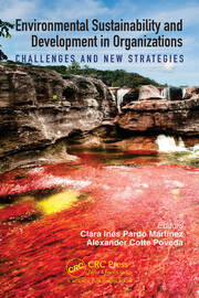 Environmental Sustainability and Development in Organizations: Challenges and New Strategies book cover