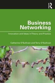 Business Networking: Innovation and Ideas in Theory and Practice book cover