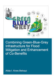 Combining Green-Blue-Grey Infrastructure for Flood Mitigation and Enhancement of Co-Benfits book cover