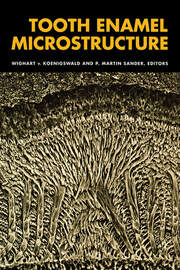 Tooth Enamel Microstructure: Proceedings of the enamel microstructure workshop, University of Bonn, Andernach, Rhine, 24-28 July 1994 book cover