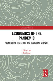 Economics of the Pandemic: Weathering the Storm and Restoring Growth book cover
