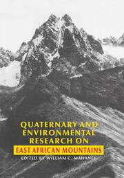 Quaternary and Environmental Research on East African Mountains book cover