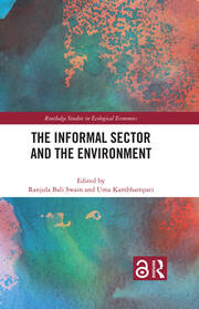 The Informal Sector and the Environment book cover