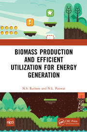 Biomass Production and Efficient Utilization for Energy Generation book cover
