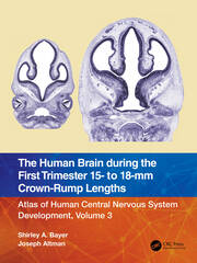 The Human Brain during the First Trimester 15- to 18-mm Crown-Rump Lengths: Atlas of Human Central Nervous System Development, Volume 3 book cover
