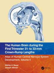 The Human Brain during the First Trimester 31- to 33-mm Crown-Rump Lengths: Atlas of Human Central Nervous System Development, Volume 5 book cover
