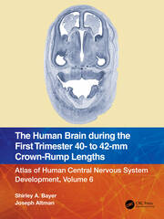 The Human Brain during the First Trimester 40- to 42-mm Crown-Rump Lengths: Atlas of Human Central Nervous System Development, Volume 6 book cover