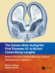 The Human Brain during the First Trimester 57- to 60-mm Crown-Rump Lengths: Atlas of Human Central Nervous System Development, Volume 7 book cover