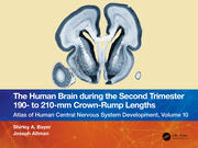 The Human Brain during the Second Trimester 190– to 210–mm Crown-Rump Lengths: Atlas of Human Central Nervous System Development, Volume 10 book cover