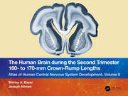 The Human Brain during the Second Trimester 160– to 170–mm Crown-Rump Lengths: Atlas of Human Central Nervous System Development, Volume 9 book cover
