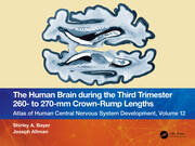 The Human Brain during the Third Trimester 260– to 270–mm Crown-Rump Lengths: Atlas of Central Nervous System Development, Volume 12 book cover