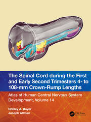 The Spinal Cord during the First and Early Second Trimesters 4- to 108-mm Crown-Rump Lengths: Atlas of Human Central Nervous System Development, Volume 14 book cover