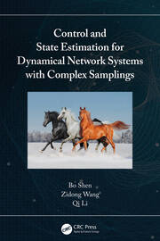 Control and State Estimation for Dynamical Network Systems with Complex Samplings book cover