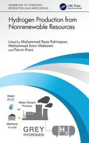 Hydrogen Production from Nonrenewable Resources book cover