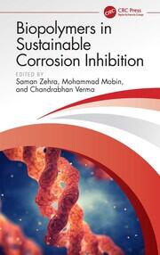 Biopolymers in Sustainable Corrosion Inhibition book cover