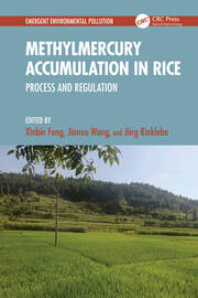 Methylmercury Accumulation in Rice: Process and Regulation book cover
