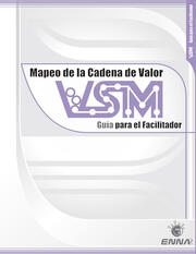 VSM Facilitator Guide (Spanish) book cover
