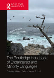 The Routledge Handbook of Endangered and Minority Languages book cover